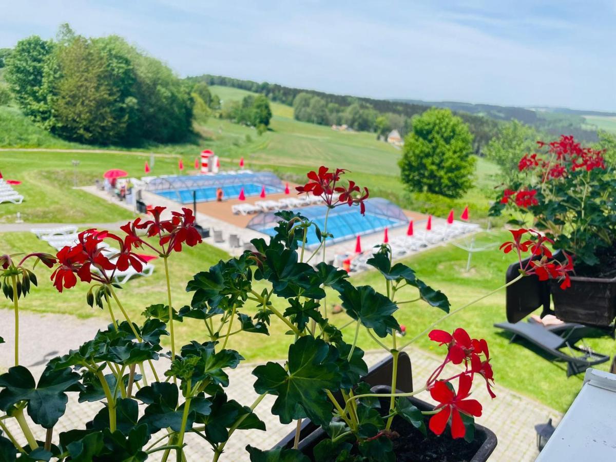 Panorama Berghotel Wettiner Hoehe Seiffen Kültér fotó
