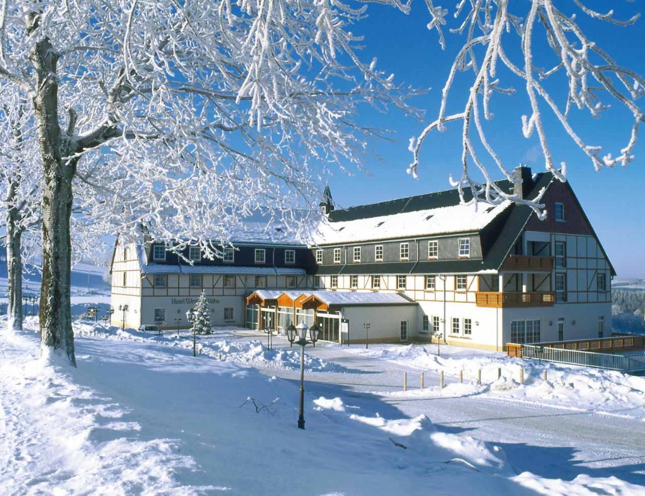 Panorama Berghotel Wettiner Hoehe Seiffen Kültér fotó